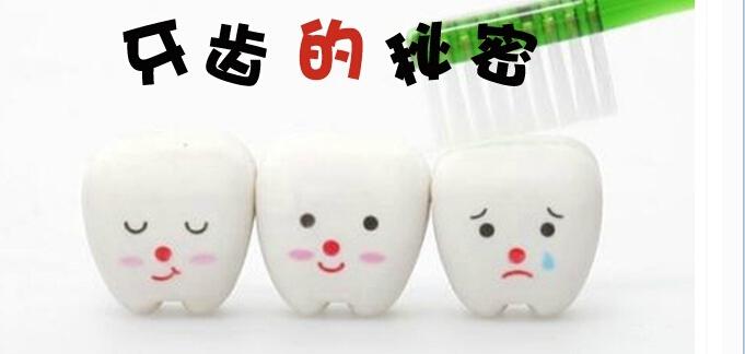 不要以为胆固醇水平过高只会让你发胖,其实,过多摄入胆固醇可导致牙周